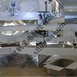 NETTER���(d��ng)���(d��ng)������