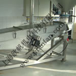 NETTER���(d��ng)���(d��ng)������