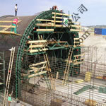 NETTER���(d��ng)���(d��ng)������